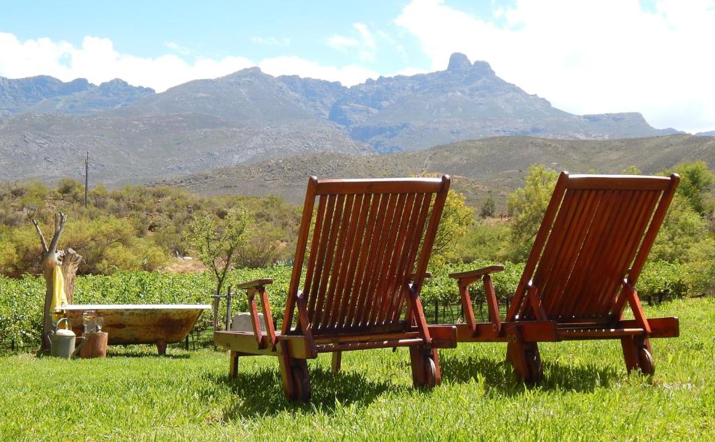 Wooden loungers facing the vineyard and Towerkop peak at Sipreslaan